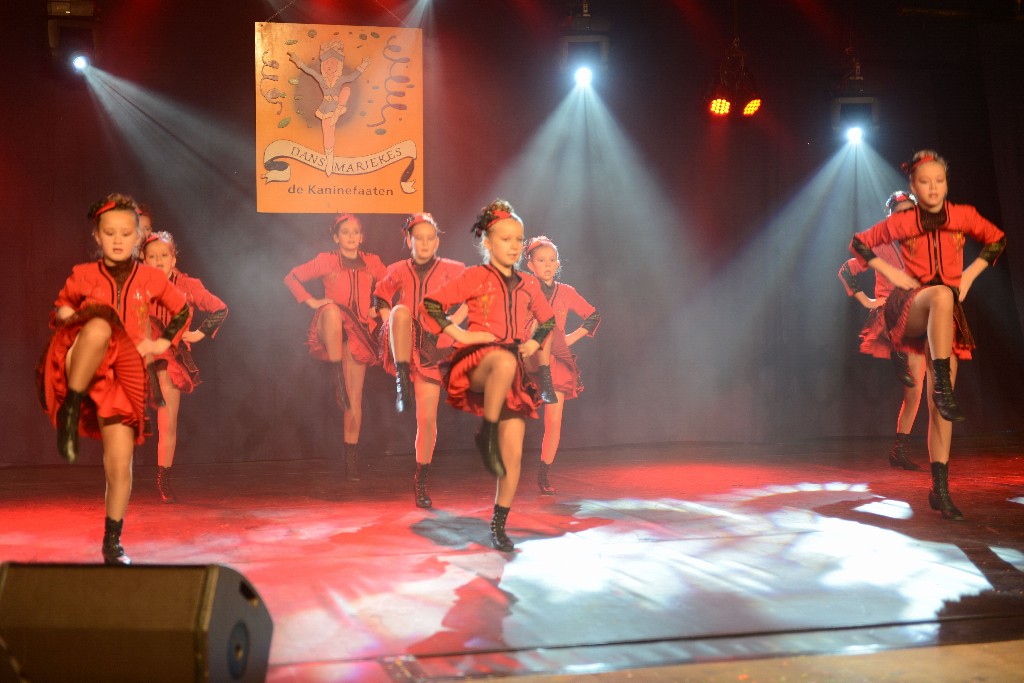 ../Images/Dansmarieke Festival 2016 133.jpg